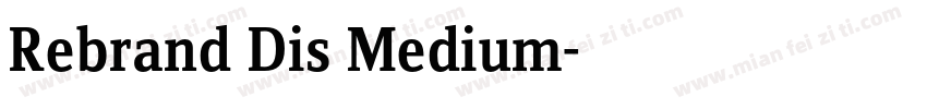 Rebrand Dis Medium字体转换